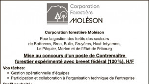 Corporation forestière Moléson recherche Contremaître
forestier
